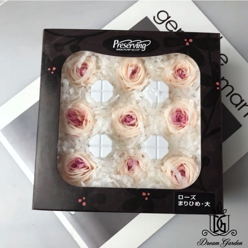 🇸🇬[SG Stock]🇸🇬SG Local Largest Wholesaler Japanese Earth Matters Preserved Austin roses Gradient color Preserved Flowers