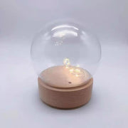 Preserved Flower Dome Glass with Music LED Wooden Base | DreamGarden SG