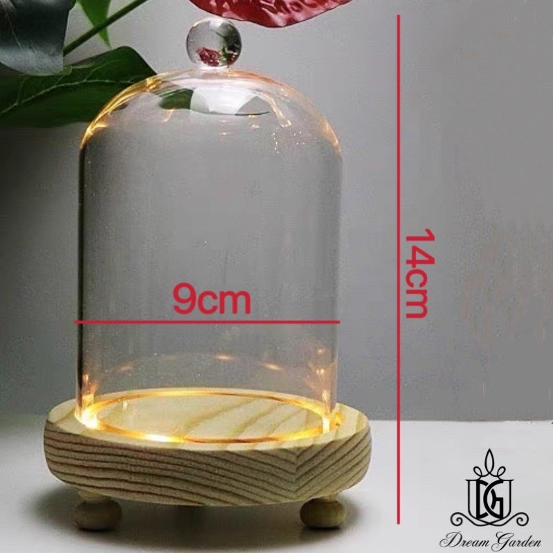 🇸🇬[SG Stock] [Dream Garden] Preserved Flower Dome Clear Glass Cloche Display Dome with LED Wooden Base High Quality