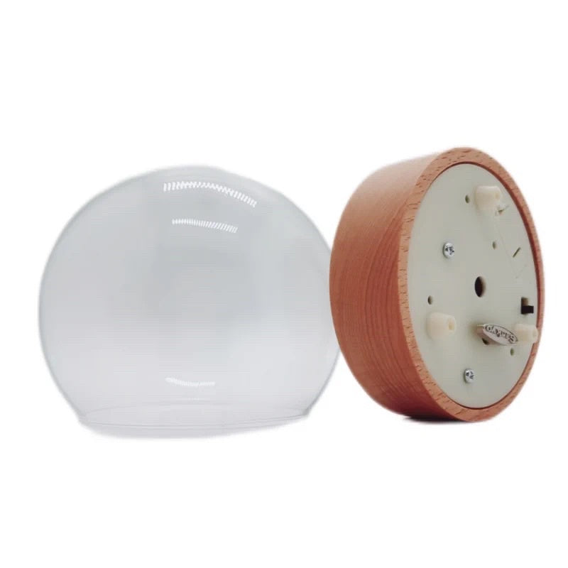 🇸🇬[SG Stock] [Dream Garden]Preserved Flower Dome Glass with Music LED Wooden Base High Quality Rotating Music Box