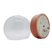 Preserved Flower Dome Glass with Music LED Wooden Base | DreamGarden SG