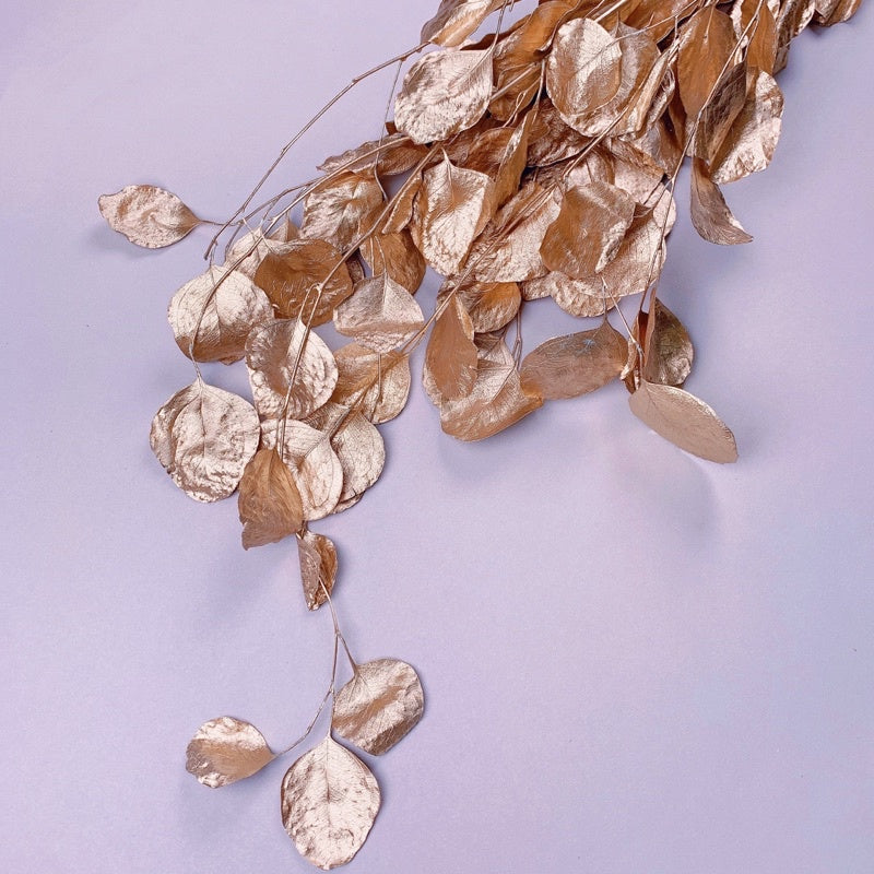 🇸🇬[SG Stock]Preserved Flowers Dried Flowers Preserved Eucalyptus Populus Singapore Local Home Decoration/DIY/Wedding