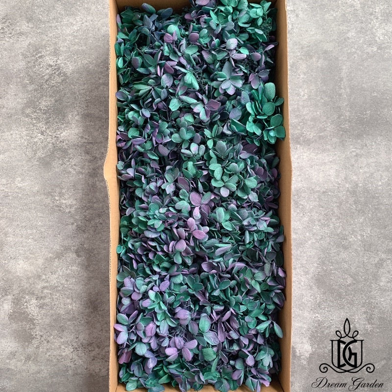 🇸🇬[SG Stock]Dream Garden Preserved Flowers Dried Flowers Grade B Preserved Hydrangea Singapore Local