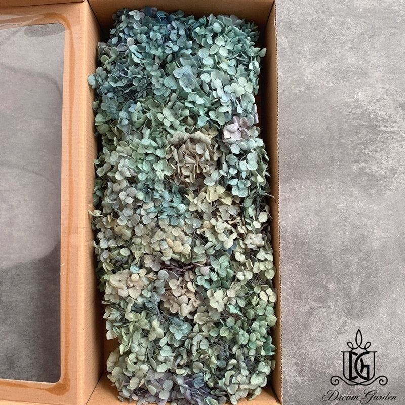 🇸🇬[SG Stock] Singapore Local Wholesale Dream Garden Grade A Preserved Hydrangeas Dried Flowers Preserved Flowers