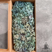 Grade A Preserved Hydrangeas | DreamGarden SG