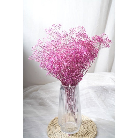 🇸🇬[SG Stock]Preserved Flowers Dried Flowers Preserved Baby Breath Singapore Local Florist/Home Decoration/DIY/Wedding