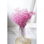 Preserved Baby Breath | DreamGarden SG