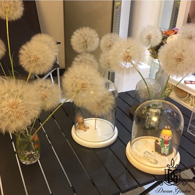 🇸🇬[SG Stock]Dream Garden Preserved Flowers Dried Flowers Preserved Giant Dandelion Singapore Local Wholesaler