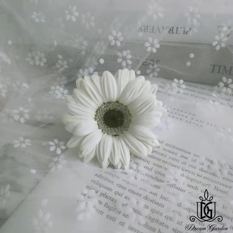 🇸🇬[SG Stock]Preserved Sunflower Dried Flowers Preserved Gerbera Singapore Local Wholesalers Home Decoration/DIY/Wedding