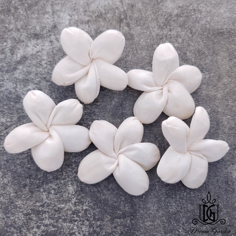 🇸🇬[SG Stock]SG Stock New Arrival Dried Flower Sola Flowers Wood Flower Handmade Flower Chrysanthemum Lotus Peony