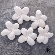New Arrival Dried Flower Sola Flowers Wood Flower | DreamGarden SG