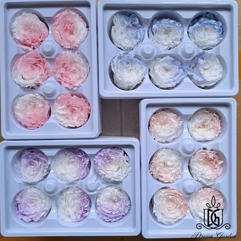🇸🇬[SG Stock][Dream Garden]SG Stock New Arrival Preserved Flower Preserved Rose Preserved Peony Rose