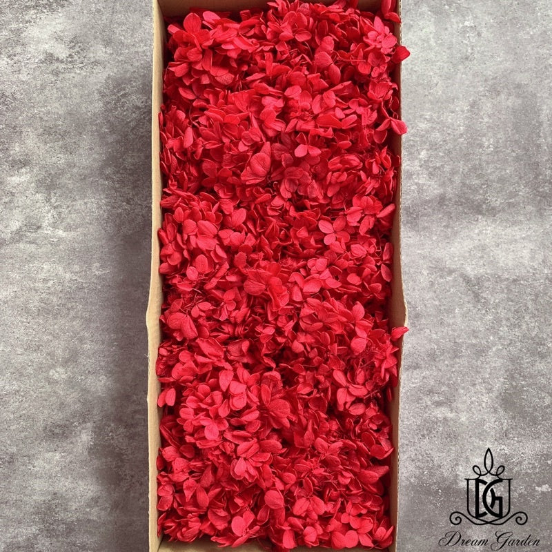 🇸🇬[SG Stock]Dream Garden Preserved Flowers Dried Flowers Grade B Preserved Hydrangea Singapore Local