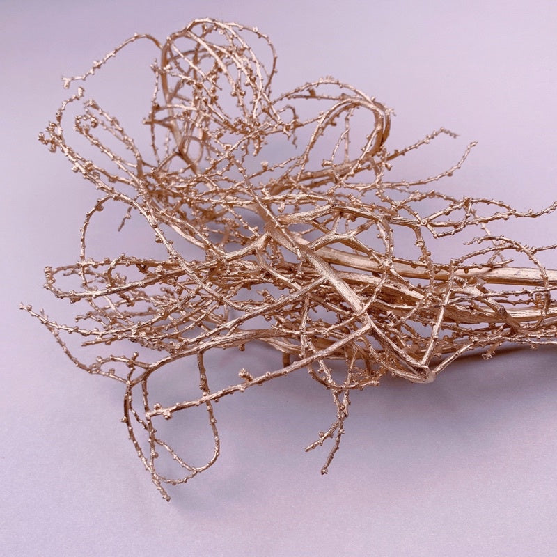 🇸🇬[SG Stock]Preserved Flowers Dried Flowers Gold Tree Branches Singapore Local Wholesaler Home Decoration/DIY/Wedding
