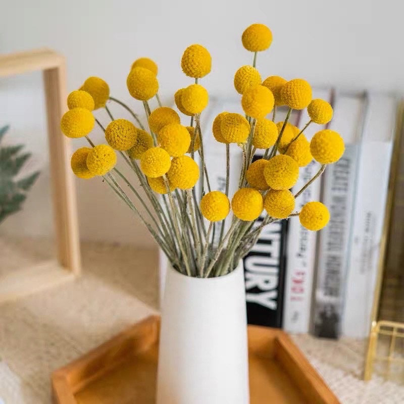 🇸🇬[SG Stock]Preserved Flowers Dried Flowers Dried Billy Buttons Singapore Local Florist/Home Decoration/DIY/Wedding