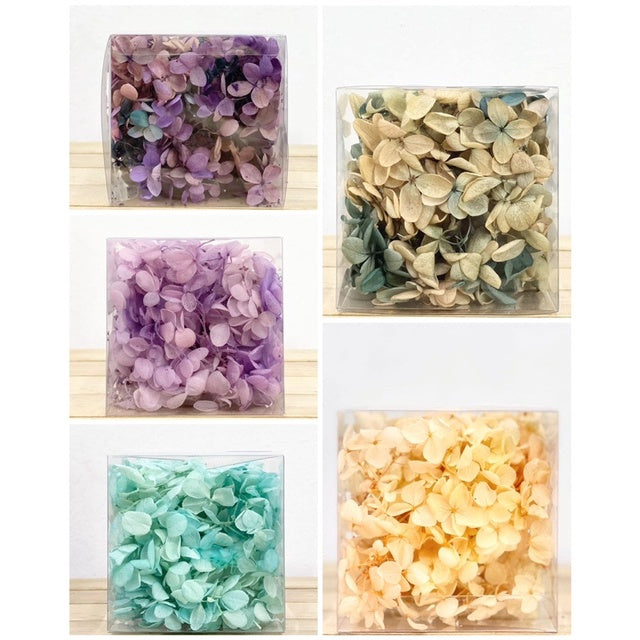 🇸🇬[SG Stock]Hydrangea Preserved Flowers Grade A Preserved Hydrangeas Singapore Local Home Decoration/DIY/Wedding