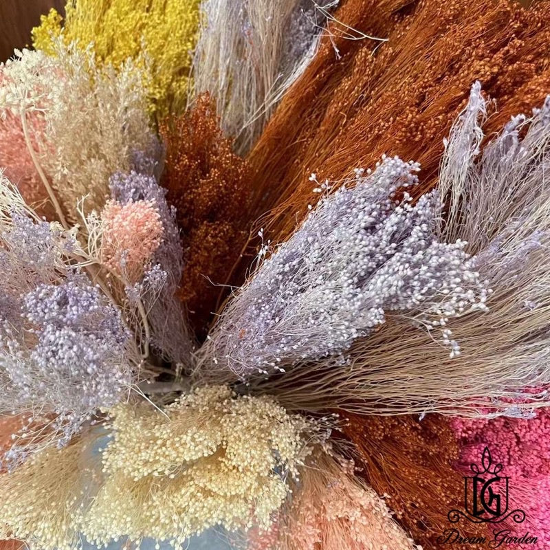 🇸🇬[SG Stock] Singapore Local Wholesalers Dried Broom Bloom Flowers Preserved Flowers Dried Flowers Babybreath
