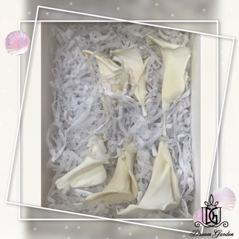🇸🇬[SG Stock][Dream Garden] SG Local Preserved Calla Lily Preserved Flowers Suitable For Decoration/Wedding/DIY/Dome