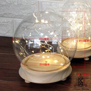 Preserved Flower Dome Clear Glass Cloche Display Dome with LED Wooden Base High Quality