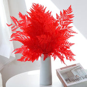 Preserved Rainbow Fern Dried Flowers Preserved | DreamGarden SG