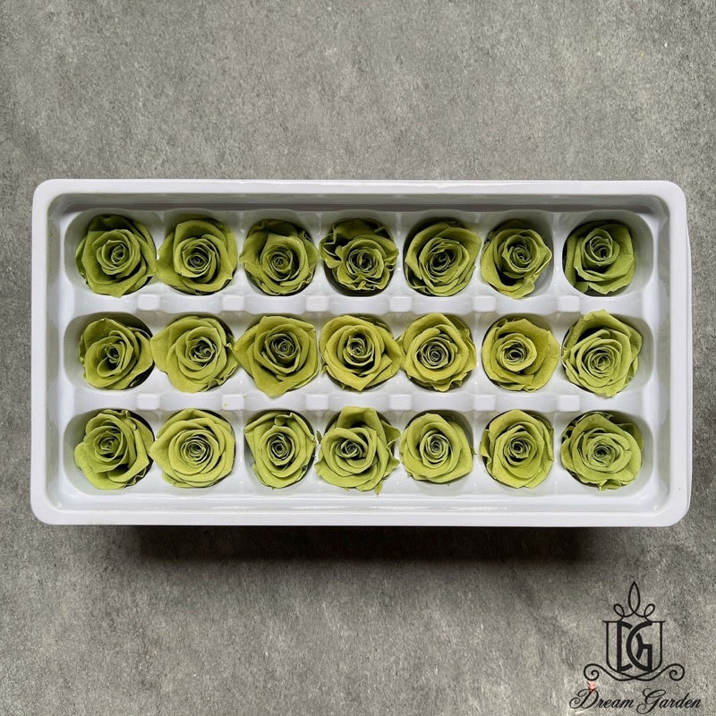 🇸🇬[SG Stock][Dream Garden]Grade A Preserved Roses 2cm-3cm Preserved Flowers Dried Flowers Home Decoration/DIY/Wedding