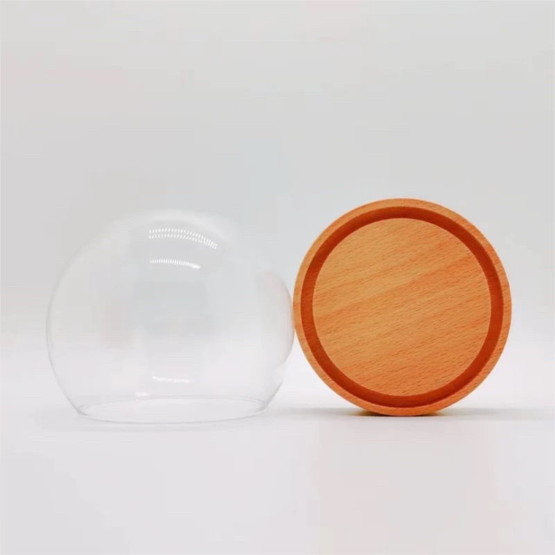 🇸🇬[SG Stock] [Dream Garden]Preserved Flower Dome Glass with Music LED Wooden Base High Quality Rotating Music Box