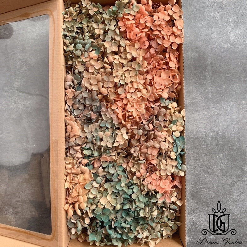 🇸🇬[SG Stock] Singapore Local Wholesale Dream Garden Grade A Preserved Hydrangeas Dried Flowers Preserved Flowers