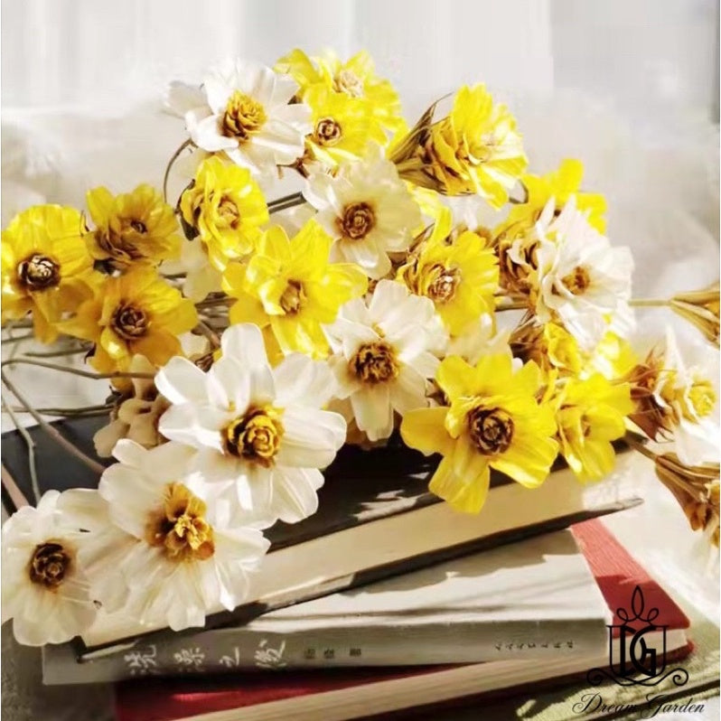 🇸🇬[SG Stock]Handmade Dried Flowers Dried Daisy Dried Sunflowers Singapore Local Wholesalers Home Decoration/DIY/Wedding