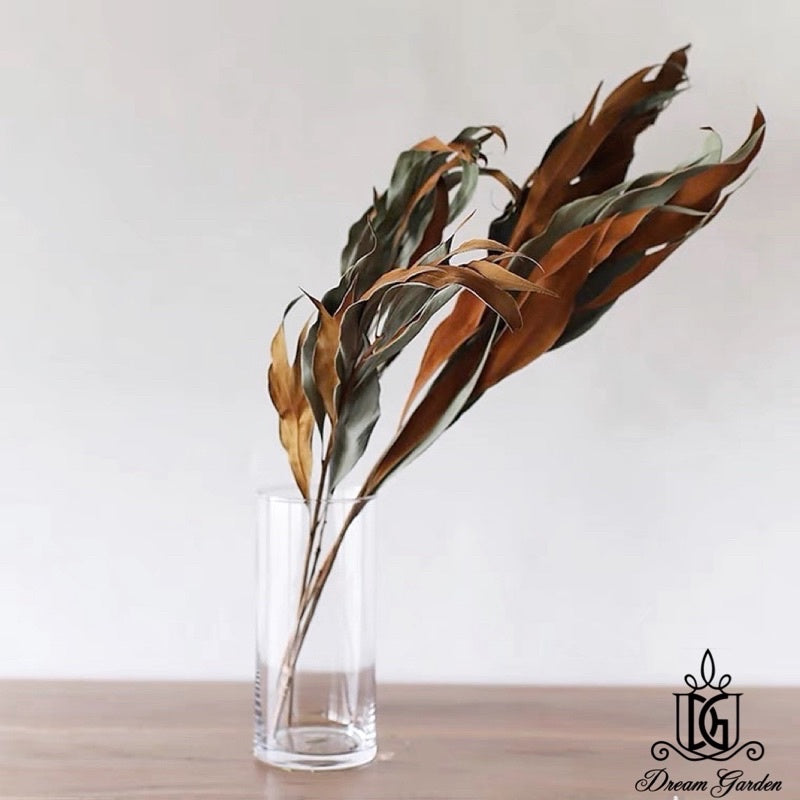 🇸🇬[SG Stock] SG Local Largest Wholesaler Dried Grevillea-Gold Back Leaves Suitable For Decoration/Wedding/DIY/Flora