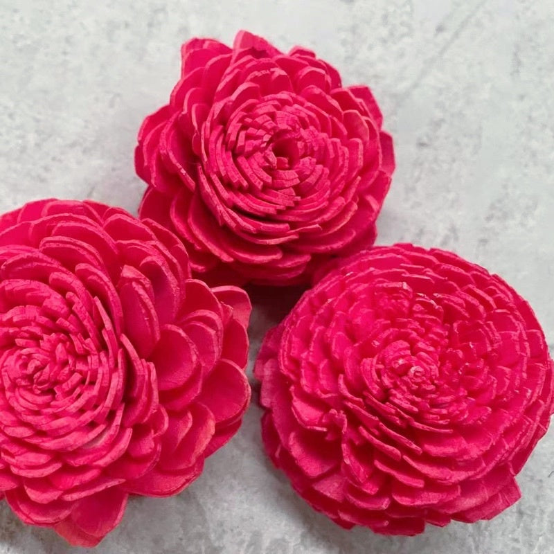 🇸🇬[SG Stock]Preserved Flowers Dried Flowers Colored Sola Flowers Wood Flower Handmade Flower Chrysanthemum Lotus Peony