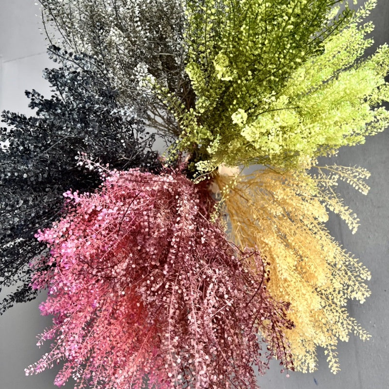 🇸🇬[SG Stock]Preserved Flowers  Dried Flower Preserved Penny Cress Thlaspi Singapore Local Home Decoration/DIY/Weddingpop