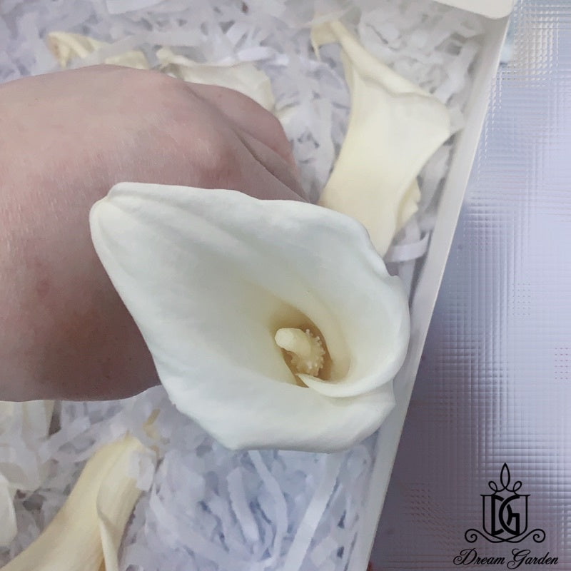 🇸🇬[SG Stock][Dream Garden] SG Local Preserved Calla Lily Preserved Flowers Suitable For Decoration/Wedding/DIY/Dome