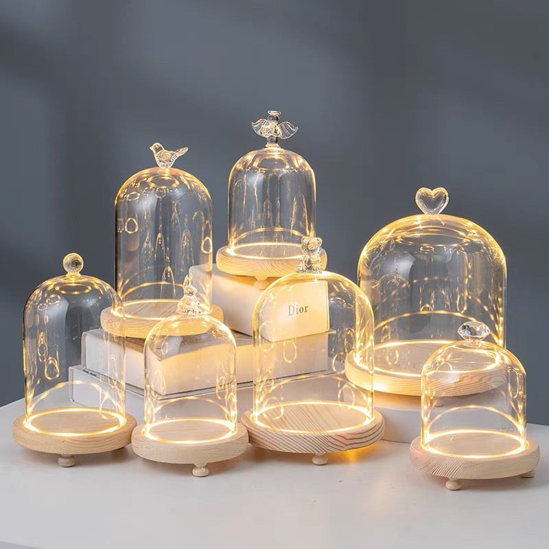 🇸🇬[SG Stock] [Dream Garden] Preserved Flower Dome Clear Glass Cloche Display Dome with LED Wooden Base High Quality