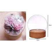 Preserved Flower Dome Glass with Music LED Wooden Base | DreamGarden SG