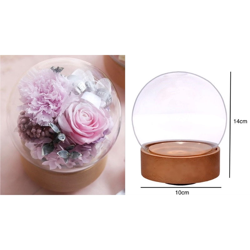 🇸🇬[SG Stock] [Dream Garden]Preserved Flower Dome Glass with Music LED Wooden Base High Quality Rotating Music Box
