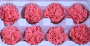 Carnation