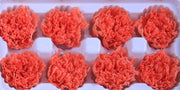 Carnation