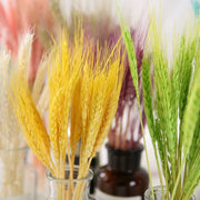 Wheat
