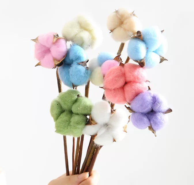 Cotton Flowers