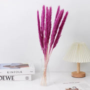 Small Pampas