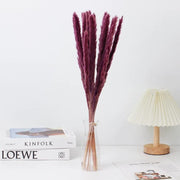 Small Pampas