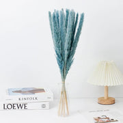 Small Pampas