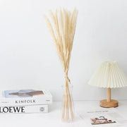 Small Pampas