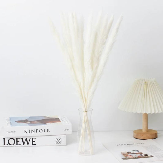 Small Pampas