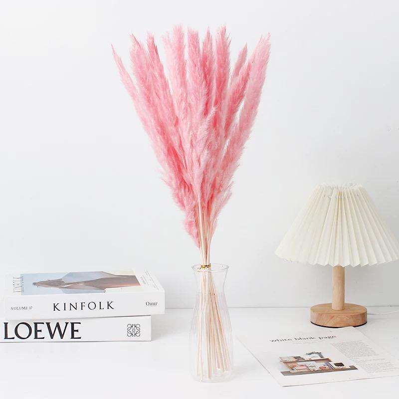 Small Pampas