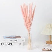 Small Pampas