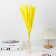 Small Pampas