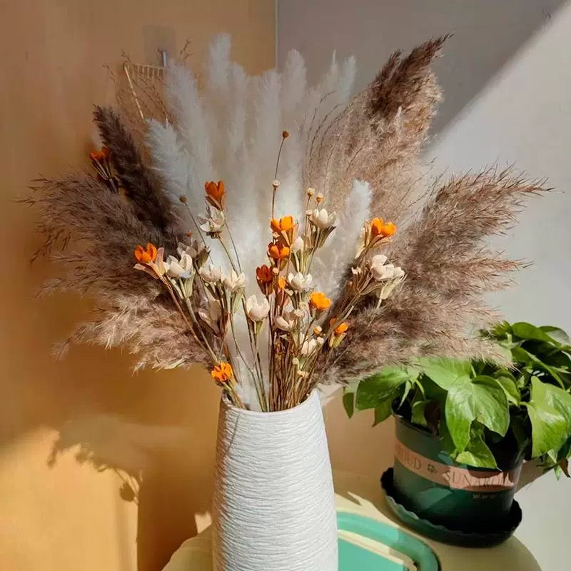 Small Pampas