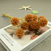 Scabiosa Pods