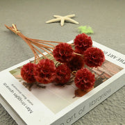 Scabiosa Pods